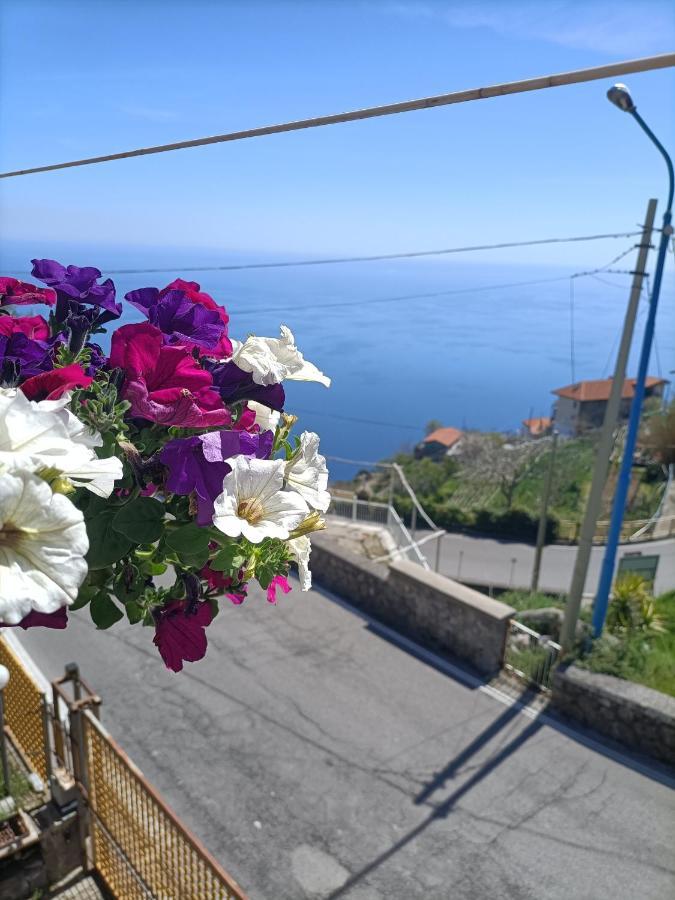 Casa Teranga Otel Furore Dış mekan fotoğraf